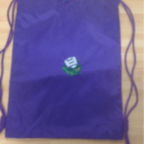 H). Dap Bag
